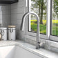 DeerValley Gleam 18" Stain Resistant Stainless Steel Pull Down Kitchen Faucet