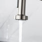 DeerValley Gleam 19" DV-1J82101 Stain Resistant Stainless Steel Pull Down Kitchen Faucet