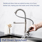 DeerValley Gleam 19" DV-1J82101 Stain Resistant Stainless Steel Pull Down Kitchen Faucet