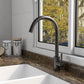 DeerValley Perch 15" Black Stainless Steel Single Handle Kitchen Faucet