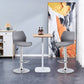 Finesse Decor Celestial Heights Gray and Chrome Adjustable Bar Stool - Set of 2