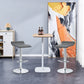 Finesse Decor Zenith Chrome Elegance Gray Counter Stools - Set of 2