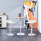 Finesse Decor Zenith Chrome Elegance White Counter Stools - Set of 2