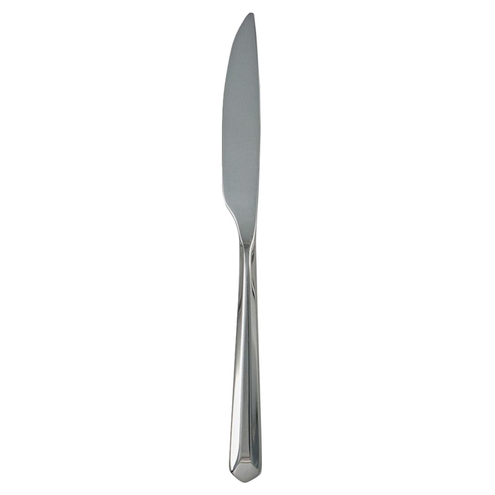 Ginkgo International Helmick Collection Stainless Steel Roberto Dinner Knife