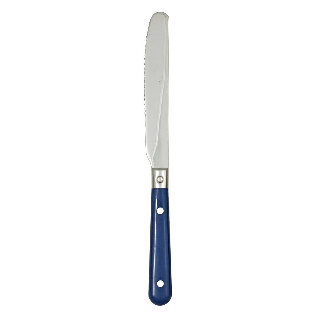 Ginkgo International Stainless Collection LePrix Bright Blue Dinner Knife