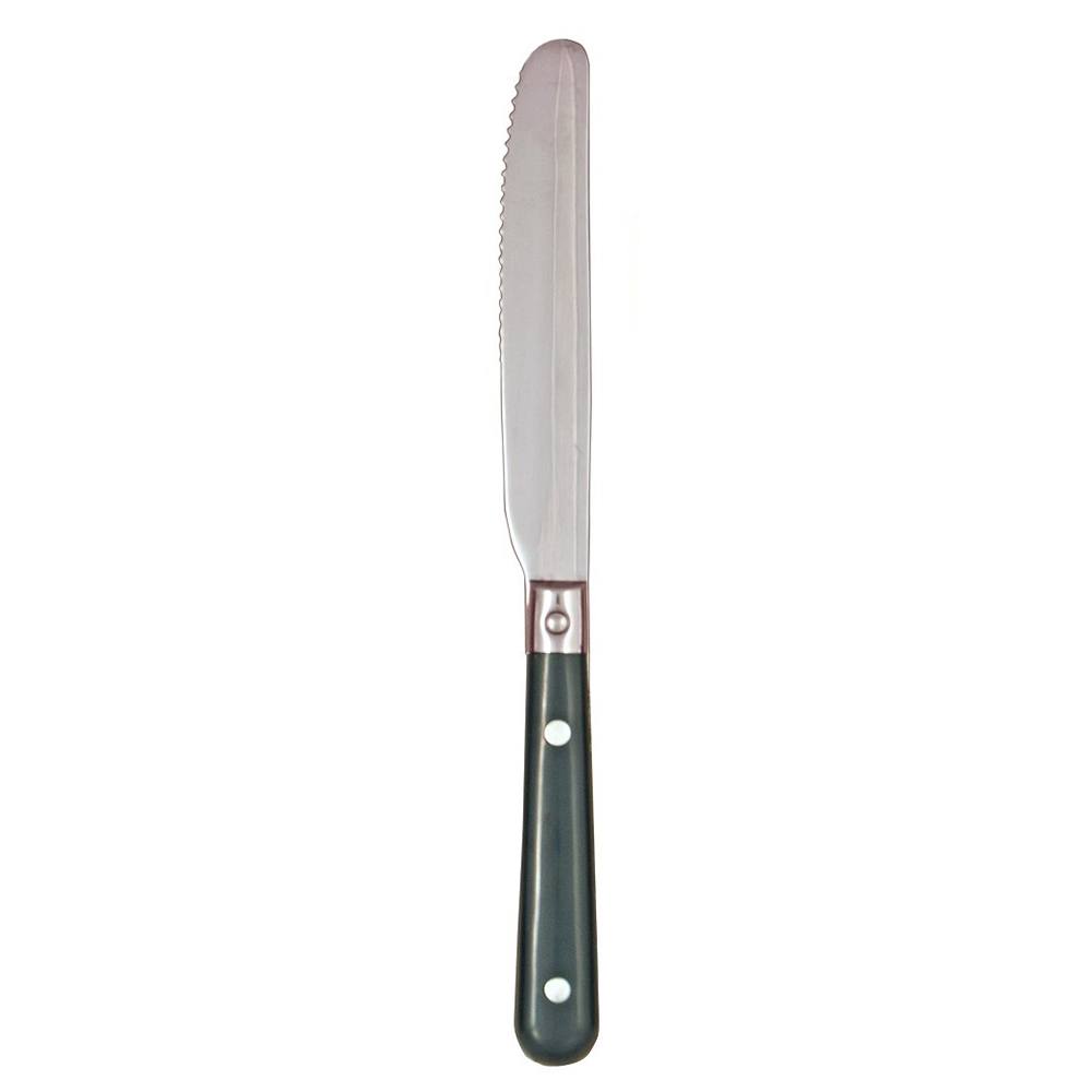 Ginkgo International Stainless Collection LePrix Hunter Green Dinner Knife