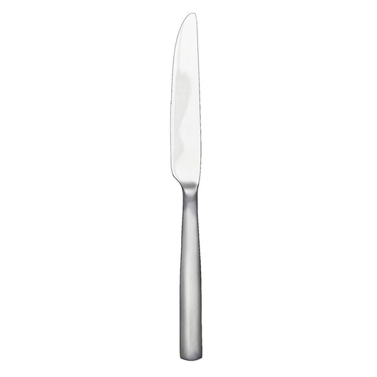 Ginkgo International Stainless Collection Simple Dinner Knife