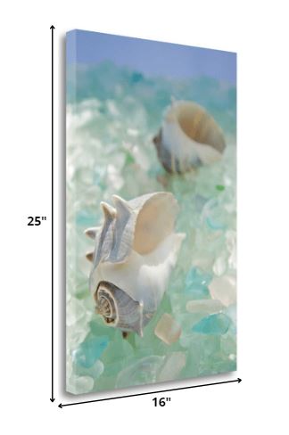 HomeRoots 1" Conchshell and Seaglass Giclee Wrap Canvas Wall Art