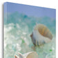 HomeRoots 1" Conchshell and Seaglass Giclee Wrap Canvas Wall Art