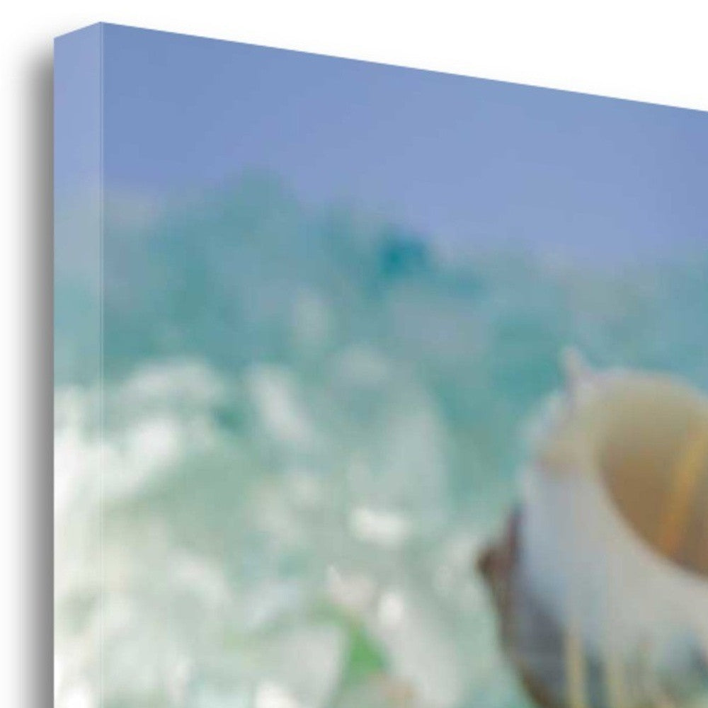 HomeRoots 1" Conchshell and Seaglass Giclee Wrap Canvas Wall Art