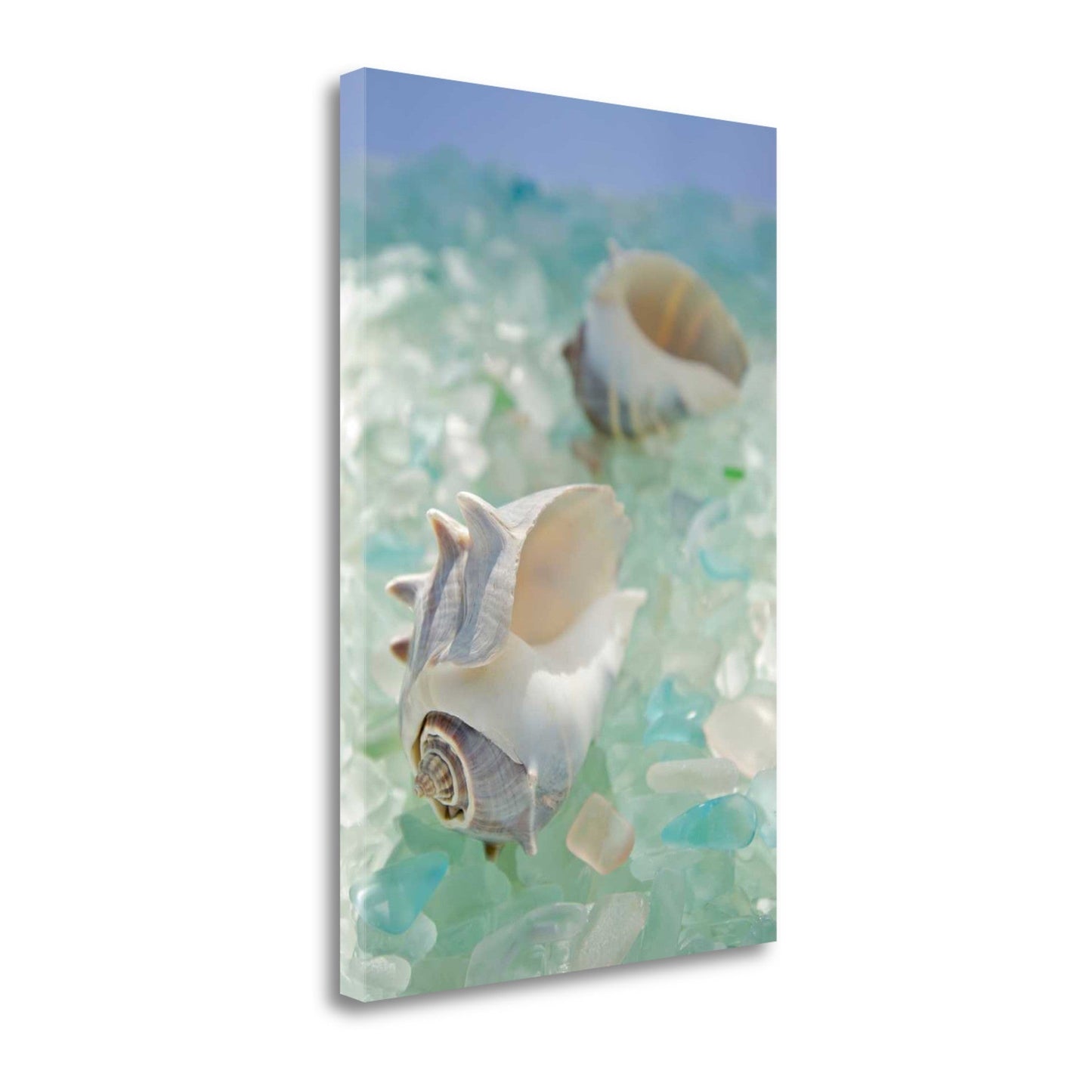 HomeRoots 1" Conchshell and Seaglass Giclee Wrap Canvas Wall Art