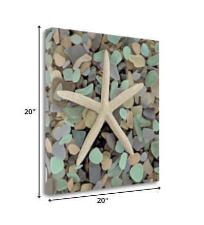 HomeRoots 10" Starfish and Colorful Seaglass 1 Giclee Wrap Canvas Wall Art