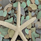 HomeRoots 10" Starfish and Colorful Seaglass 1 Giclee Wrap Canvas Wall Art