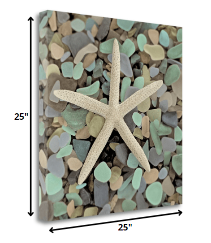 HomeRoots 10" Starfish and Colorful Seaglass 2 Giclee Wrap Canvas Wall Art