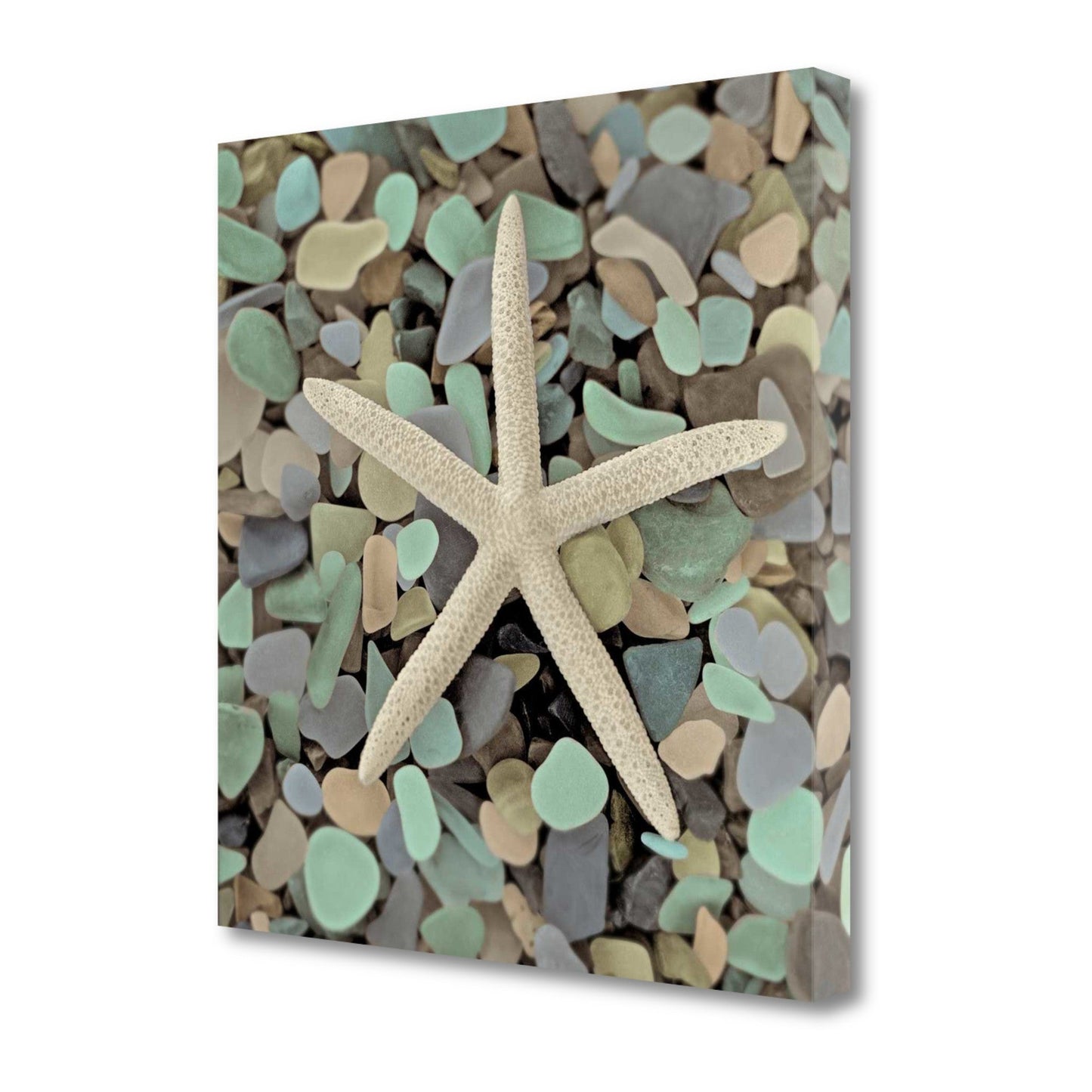 HomeRoots 10" Starfish and Colorful Seaglass 2 Giclee Wrap Canvas Wall Art