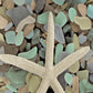 HomeRoots 10" Starfish and Colorful Seaglass 2 Giclee Wrap Canvas Wall Art