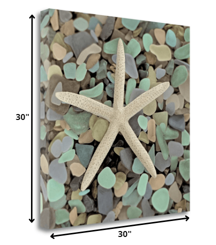 HomeRoots 10" Starfish and Colorful Seaglass 3 Giclee Wrap Canvas Wall Art