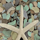 HomeRoots 10" Starfish and Colorful Seaglass 3 Giclee Wrap Canvas Wall Art