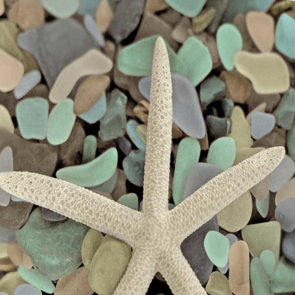 HomeRoots 10" Starfish and Colorful Seaglass 3 Giclee Wrap Canvas Wall Art