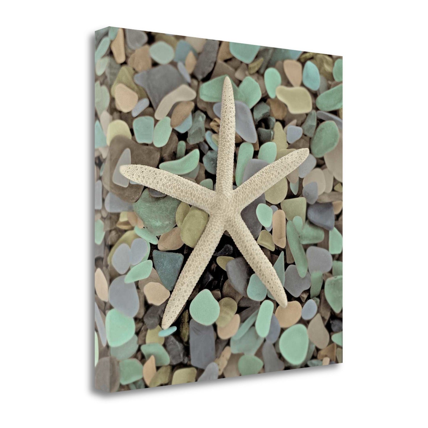 HomeRoots 10" Starfish and Colorful Seaglass 3 Giclee Wrap Canvas Wall Art