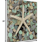 HomeRoots 10" Starfish and Colorful Seaglass 4 Giclee Wrap Canvas Wall Art