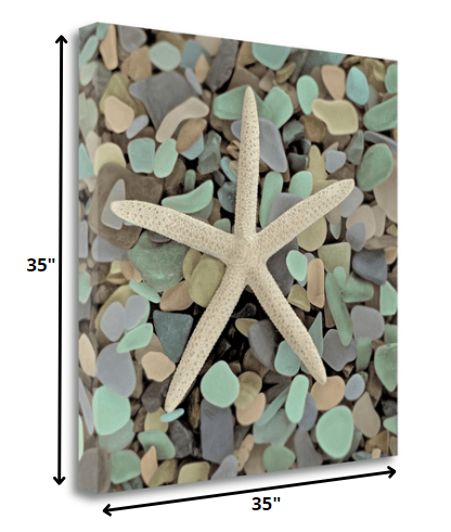 HomeRoots 10" Starfish and Colorful Seaglass 4 Giclee Wrap Canvas Wall Art