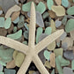 HomeRoots 10" Starfish and Colorful Seaglass 4 Giclee Wrap Canvas Wall Art