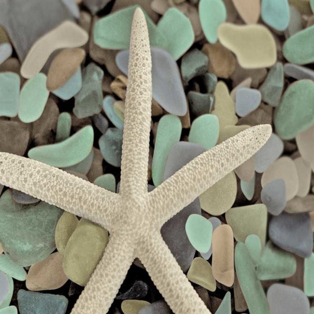 HomeRoots 10" Starfish and Colorful Seaglass 4 Giclee Wrap Canvas Wall Art