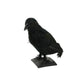HomeRoots 11" Black Faux Feather Crow Sculpture