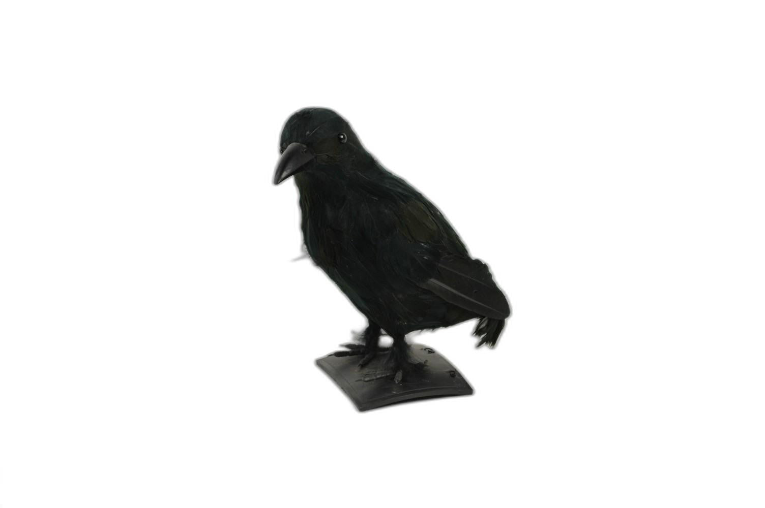 HomeRoots 11" Black Faux Feather Crow Sculpture