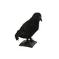 HomeRoots 11" Black Faux Feather Crow Sculpture