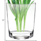 HomeRoots 11 Mouth Blown Crystal European Made Pocket Shaped Vase