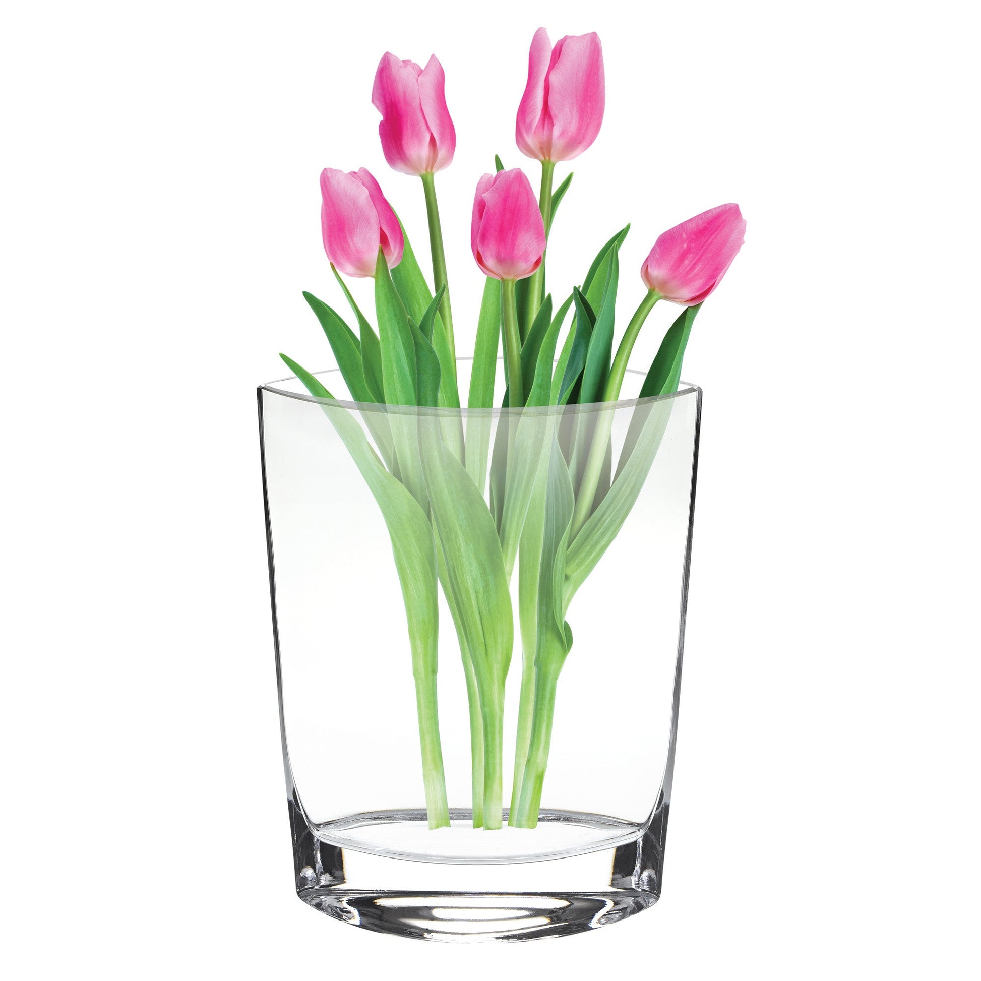 HomeRoots 11 Mouth Blown Crystal European Made Pocket Shaped Vase