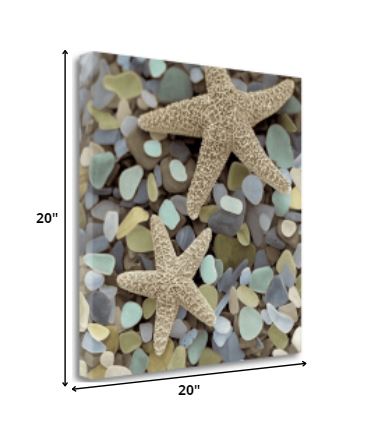 HomeRoots 11" Two Starfish and Seaglass 1 Giclee Wrap Canvas Wall Art
