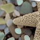 HomeRoots 11" Two Starfish and Seaglass 1 Giclee Wrap Canvas Wall Art
