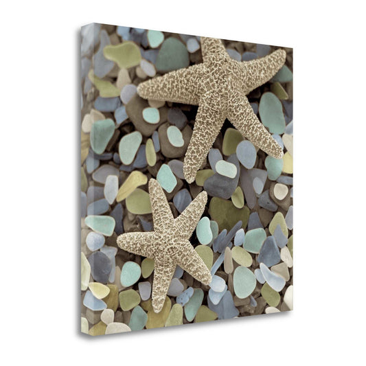 HomeRoots 11" Two Starfish and Seaglass 1 Giclee Wrap Canvas Wall Art