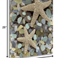 HomeRoots 11" Two Starfish and Seaglass 2 Giclee Wrap Canvas Wall Art