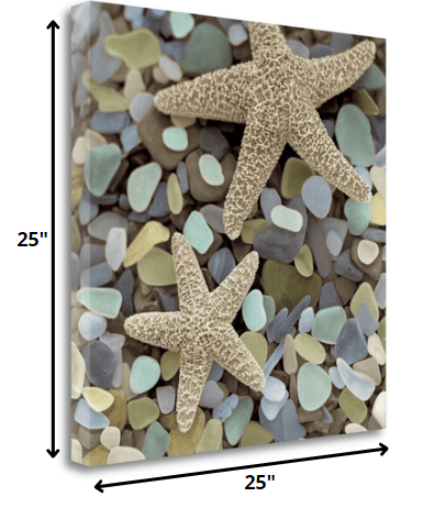 HomeRoots 11" Two Starfish and Seaglass 2 Giclee Wrap Canvas Wall Art