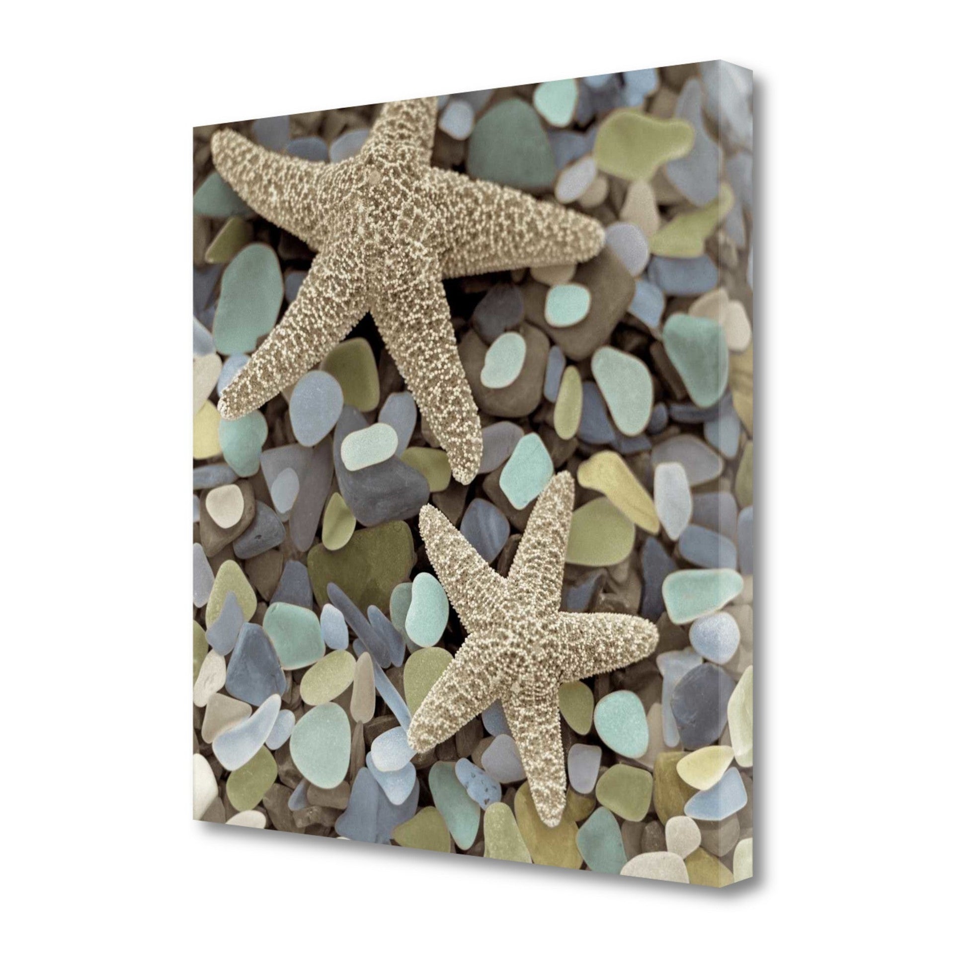 HomeRoots 11" Two Starfish and Seaglass 2 Giclee Wrap Canvas Wall Art