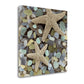 HomeRoots 11" Two Starfish and Seaglass 2 Giclee Wrap Canvas Wall Art