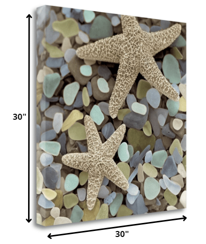 HomeRoots 11" Two Starfish and Seaglass 3 Giclee Wrap Canvas Wall Art