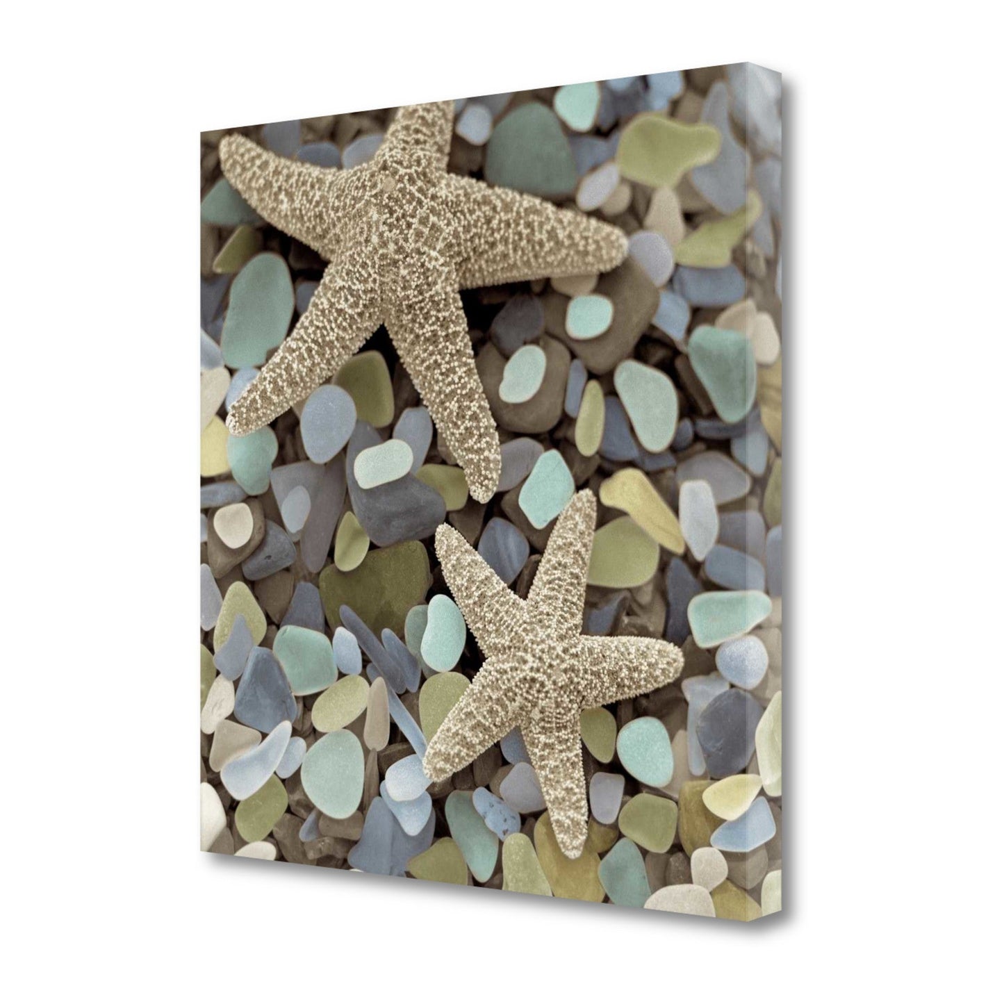 HomeRoots 11" Two Starfish and Seaglass 3 Giclee Wrap Canvas Wall Art