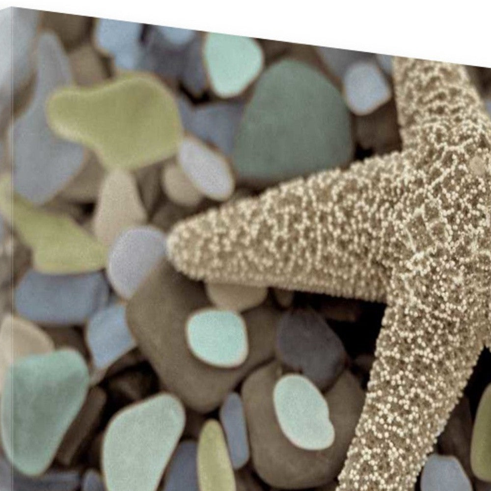 HomeRoots 11" Two Starfish and Seaglass 3 Giclee Wrap Canvas Wall Art