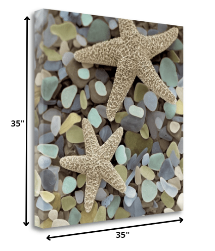 HomeRoots 11" Two Starfish and Seaglass 4 Giclee Wrap Canvas Wall Art