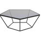 HomeRoots 12" Metal and Glass Coffee Table in Black Finish