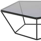 HomeRoots 12" Metal and Glass Coffee Table in Black Finish