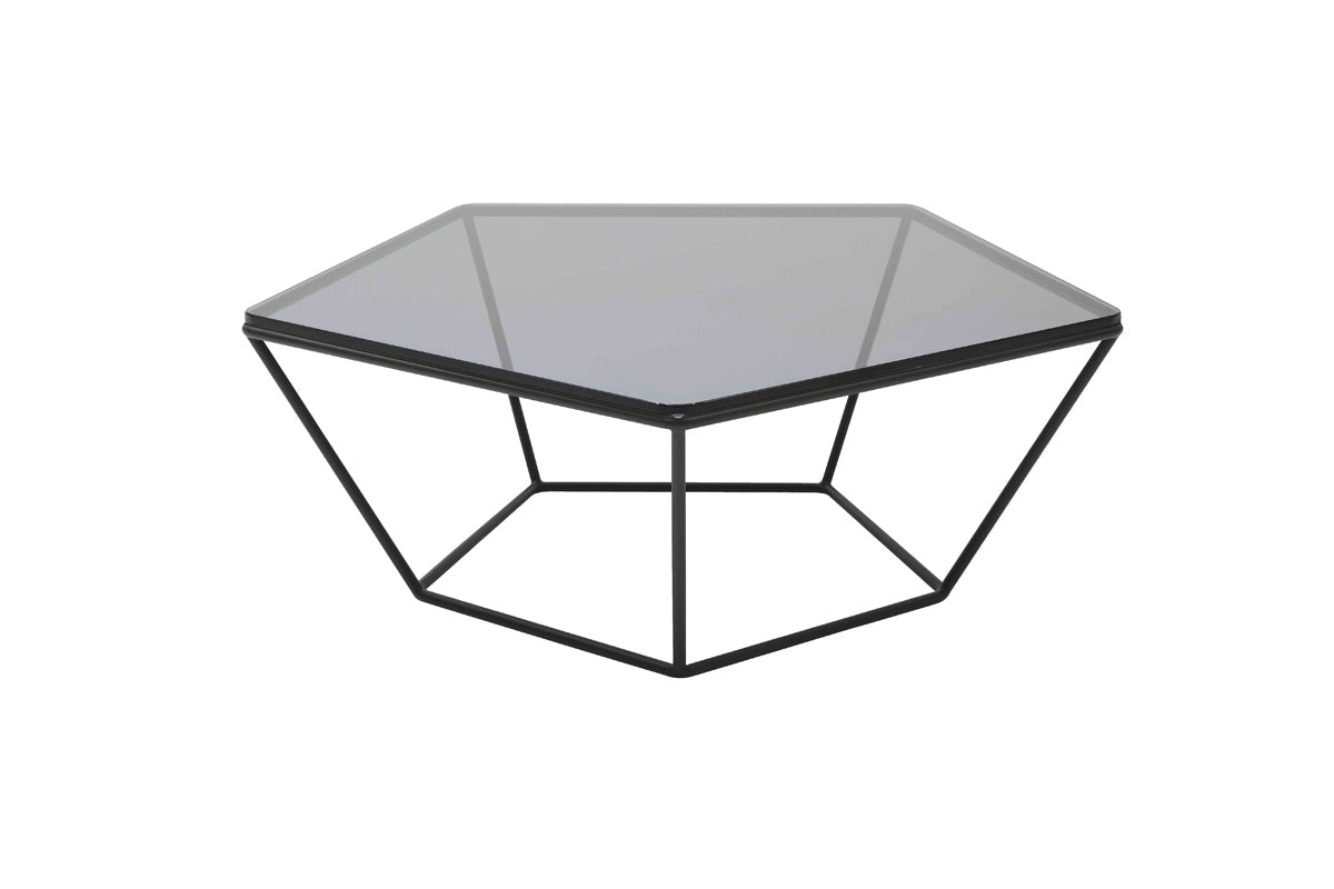 HomeRoots 12" Metal and Glass Coffee Table in Black Finish