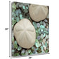 HomeRoots 12" Two Sandollars and Seaglass 1 Giclee Wrap Canvas Wall Art
