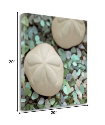 HomeRoots 12" Two Sandollars and Seaglass 1 Giclee Wrap Canvas Wall Art