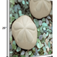 HomeRoots 12" Two Sandollars and Seaglass 2 Giclee Wrap Canvas Wall Art